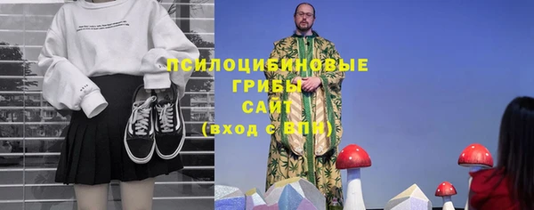 соль ск Алзамай