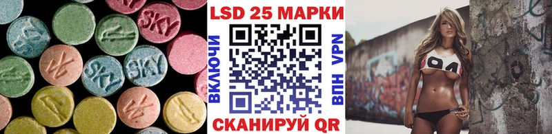 купить закладку  MEGA рабочий сайт  LSD-25 экстази ecstasy  Куртамыш 